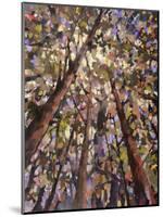 Looking Up Through Trees-Jean Cauthen-Mounted Art Print