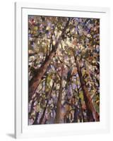 Looking Up Through Trees-Jean Cauthen-Framed Art Print