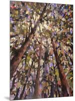 Looking Up Through Trees-Jean Cauthen-Mounted Art Print