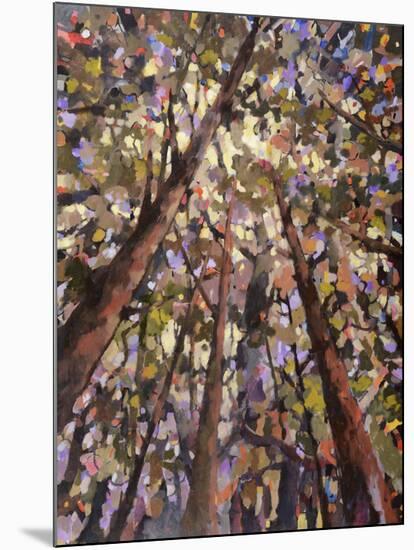 Looking Up Through Trees-Jean Cauthen-Mounted Art Print