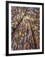 Looking Up Through Trees-Jean Cauthen-Framed Art Print