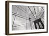 Looking Up-Tony Koukos-Framed Giclee Print