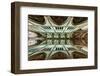 Looking Up-Gerard Jonkman-Framed Photographic Print