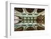 Looking Up-Gerard Jonkman-Framed Photographic Print