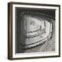 Looking Up-Renate Reichert-Framed Giclee Print