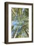 Looking Up-Danny Head-Framed Photographic Print