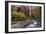 Looking Upstream I-Danny Head-Framed Photographic Print