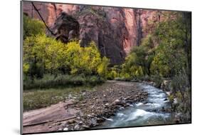 Looking Upstream I-Danny Head-Mounted Photographic Print