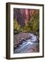 Looking Upstream II-Danny Head-Framed Photographic Print