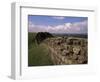 Looking West Along Hadrian's Wall, Unesco World Heritage Site, Near Greenhead, Cumbria, England-Richard Ashworth-Framed Photographic Print