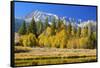 Looking West Toward Yosemite National Park's Tioga Pass Entrance-John Alves-Framed Stretched Canvas