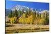 Looking West Toward Yosemite National Park's Tioga Pass Entrance-John Alves-Stretched Canvas