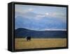 Looking West Towards the Rocky Mountains from Big Timber, Montana, USA-Robert Francis-Framed Stretched Canvas