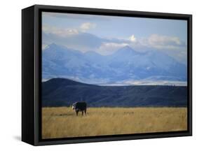 Looking West Towards the Rocky Mountains from Big Timber, Montana, USA-Robert Francis-Framed Stretched Canvas
