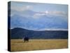 Looking West Towards the Rocky Mountains from Big Timber, Montana, USA-Robert Francis-Stretched Canvas