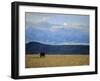 Looking West Towards the Rocky Mountains from Big Timber, Montana, USA-Robert Francis-Framed Photographic Print