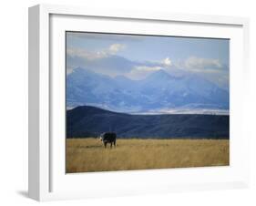 Looking West Towards the Rocky Mountains from Big Timber, Montana, USA-Robert Francis-Framed Photographic Print