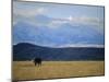 Looking West Towards the Rocky Mountains from Big Timber, Montana, USA-Robert Francis-Mounted Photographic Print