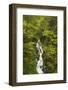 Lookout Creek North Cascades. Mount Baker Snoqualmie National Forest, Washington State.-Alan Majchrowicz-Framed Photographic Print