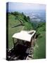 Lookout Mountain Incline Railway, the World's Steepest Passenger Line, Chattanooga, USA-Robert Francis-Stretched Canvas