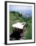 Lookout Mountain Incline Railway, the World's Steepest Passenger Line, Chattanooga, USA-Robert Francis-Framed Photographic Print