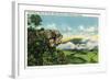 Lookout Mountain, Tennessee - Scenic View from Sunset Rock on the Mountain-Lantern Press-Framed Art Print