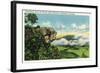 Lookout Mountain, Tennessee - Scenic View from Sunset Rock on the Mountain-Lantern Press-Framed Art Print