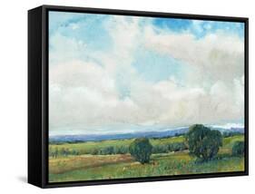 Looming Clouds II-Tim O'toole-Framed Stretched Canvas