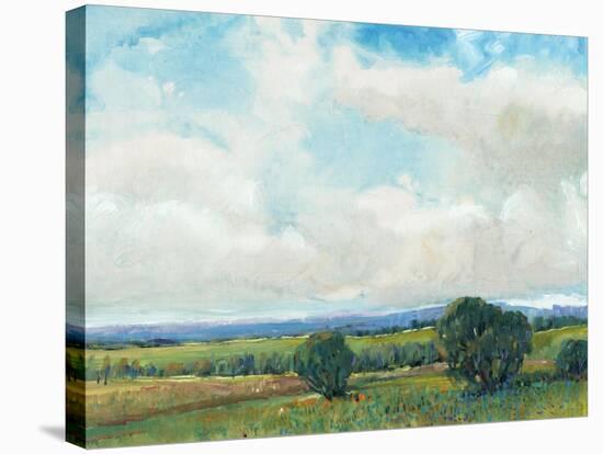 Looming Clouds II-Tim O'toole-Stretched Canvas