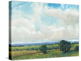 Looming Clouds II-Tim O'toole-Stretched Canvas