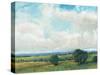 Looming Clouds II-Tim O'toole-Stretched Canvas