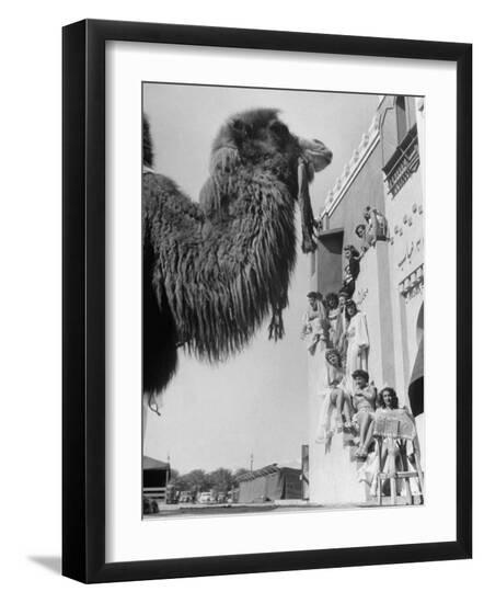 Premium Photographic Print, , large