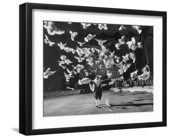 Premium Photographic Print, , large
