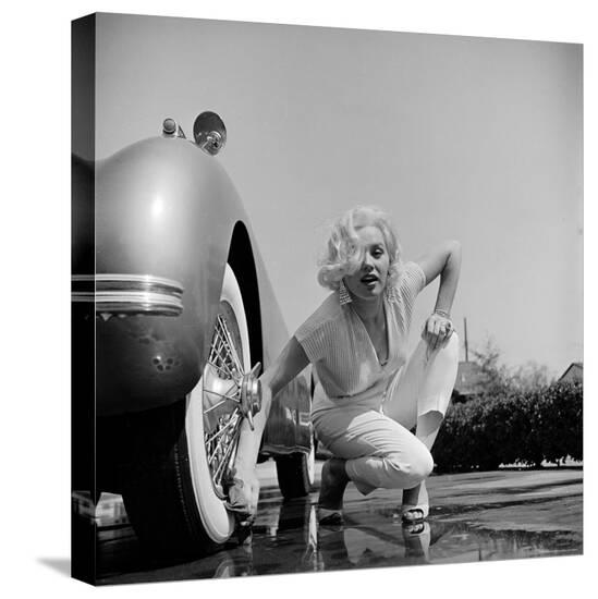 Stretched Canvas Print, , large