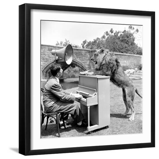 Photographic Print, , large