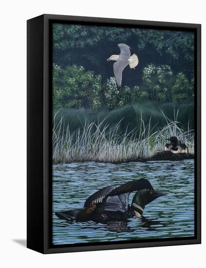 Loon Threat-Rusty Frentner-Framed Stretched Canvas