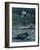 Loon Threat-Rusty Frentner-Framed Giclee Print