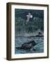 Loon Threat-Rusty Frentner-Framed Premium Giclee Print