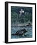 Loon Threat-Rusty Frentner-Framed Premium Giclee Print