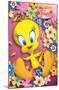 Looney Tunes - Tweety Bird - Power-Trends International-Mounted Poster