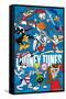 Looney Tunes x Team USA - Group-Trends International-Framed Stretched Canvas