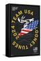 Looney Tunes x Team USA - Surfing-Trends International-Framed Stretched Canvas