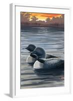 Loons and Sunset-Lantern Press-Framed Art Print