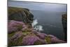 Loop Head, County Clare, Munster, Republic of Ireland, Europe-Carsten Krieger-Mounted Photographic Print