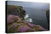 Loop Head, County Clare, Munster, Republic of Ireland, Europe-Carsten Krieger-Stretched Canvas