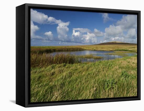 Loop Head, County Clare, Munster, Republic of Ireland, Europe-Carsten Krieger-Framed Stretched Canvas