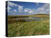 Loop Head, County Clare, Munster, Republic of Ireland, Europe-Carsten Krieger-Stretched Canvas