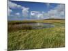 Loop Head, County Clare, Munster, Republic of Ireland, Europe-Carsten Krieger-Mounted Photographic Print