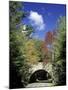 Loop road around Mt. Desert Island, Acadia National Park, Maine, USA-Adam Jones-Mounted Photographic Print