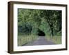 Loop Road in Cades Cove, Great Smoky Mountains National Park, Tennessee, USA-Adam Jones-Framed Photographic Print